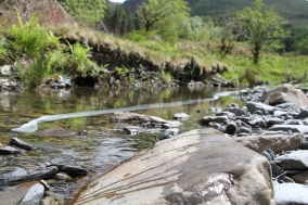 A wild stream with rocks and pebbles in the foreground, and a green bank beyond the water. In the stream, under the water, is a long strip of paper that might have writing on it.