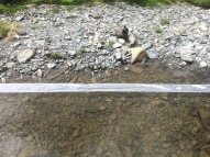 A grey stony shore of a stream, with the stream itself running along the lower half of the image. Cutting between shore and water, partially submerged, is a long strip of paper with not-quite-legible writing on it.